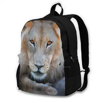 Експресивно изглеждащ мъжки лъв училищна чанта голям капацитет раница лаптоп 15 инчов пътуване Reisen пътуване пътуване туризъм Африка