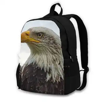 Американски плешив орел Портретни раници за училище Тийнейджъри Момичета Пътни чанти Американски плешив орел Raptor Хищна птица орел