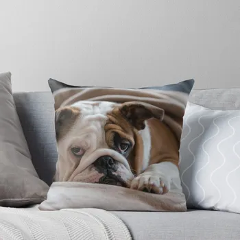 Британски булдог хвърлят възглавница декоративни диван възглавница легло калъфки за възглавници
