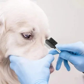 Pet Eye Comb Brush Pet Tear Stain Remover Comb Двустранна четка за оформяне на очите Премахване на слуз от кора за малко куче