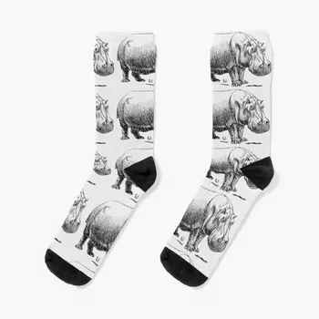 Хипопотам Чорапи къси чорапи Детски чорапи Чорапи памук Чорапи за момичета Мъжки