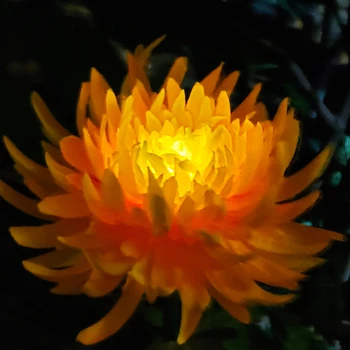 Слънчева хризантема Цветни светлини Външна градинска декорация Симулация Цветна светлина за тревни площи LED градина пейзаж светлина нощна светлина